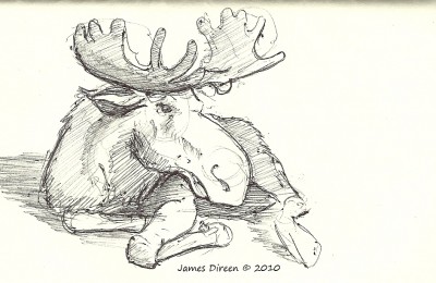 moose sketch